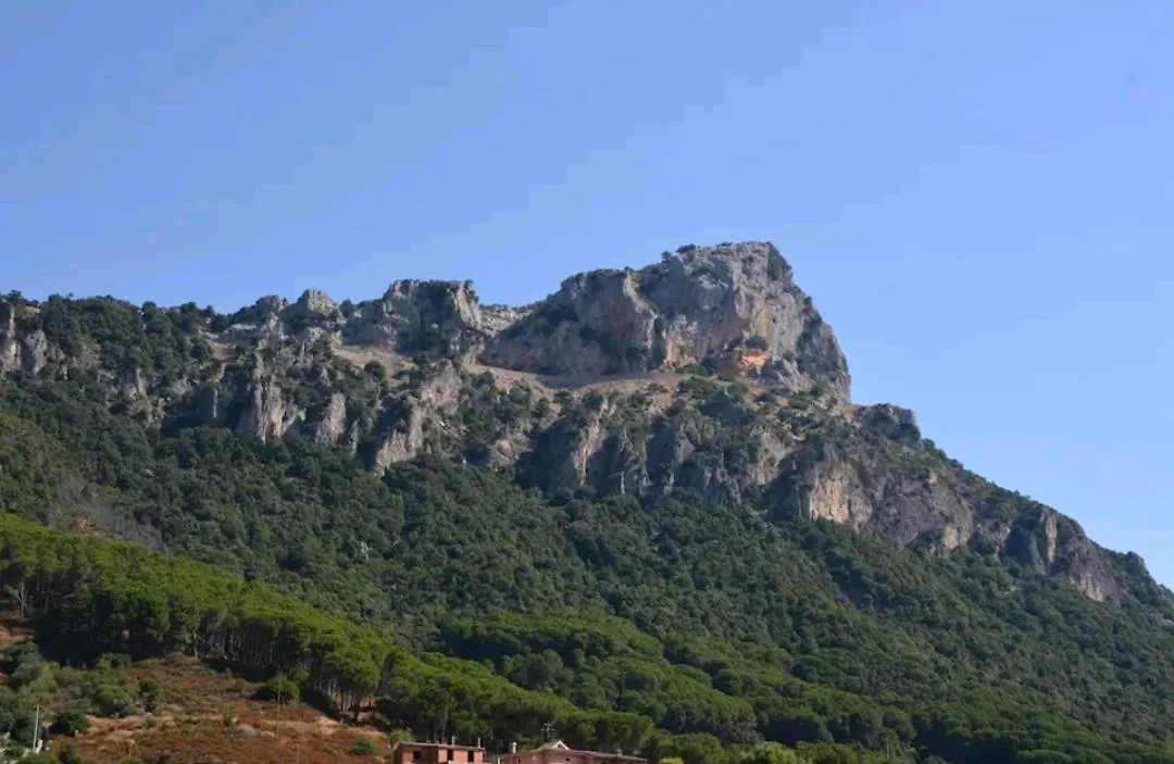 Casa vacanze Villa Sa domu 'eccia Urzulei