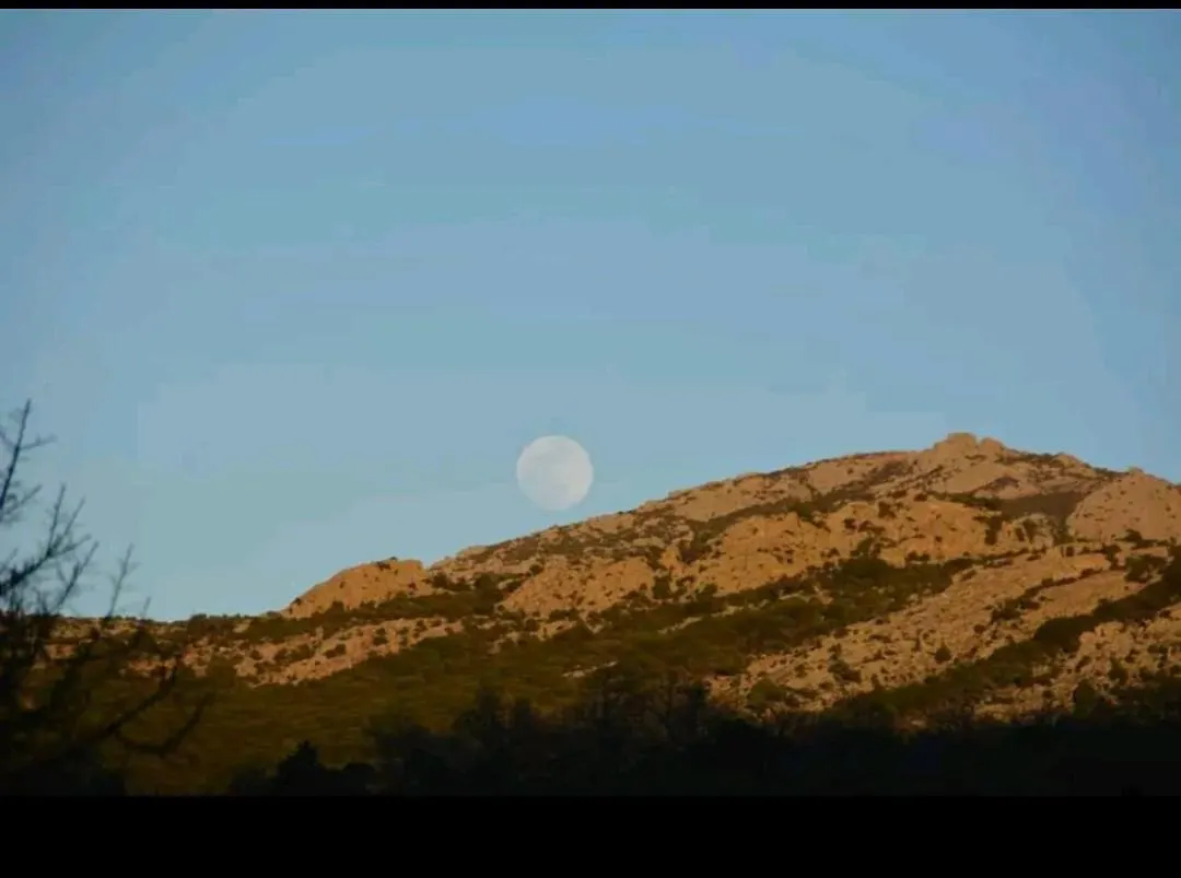 Casa vacanze Villa Sa domu 'eccia Urzulei