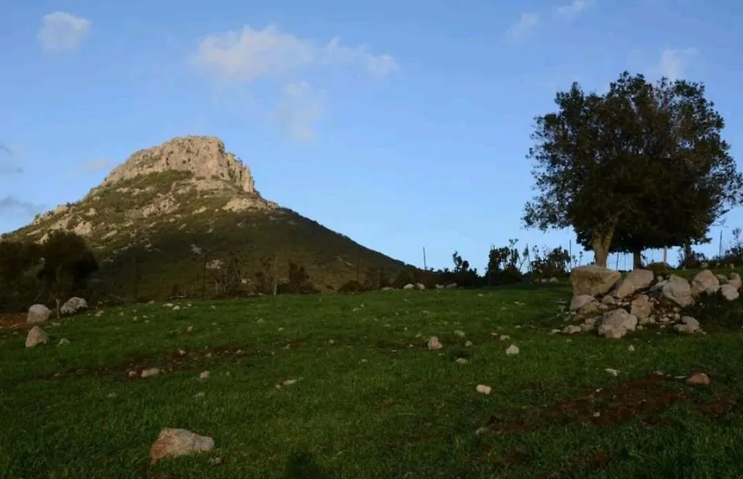 Villa Sa domu 'eccia Urzulei 0*,